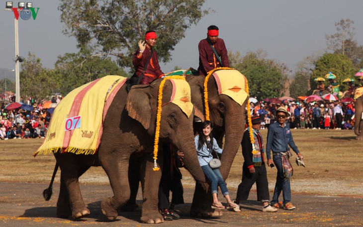 ງານມະຫາກຳບຸນຊ້າງໄຊຍະບູລີ 2017 ທີ່ເປັນເອກະລັກສະເພາະຂອງລາວ - ảnh 19