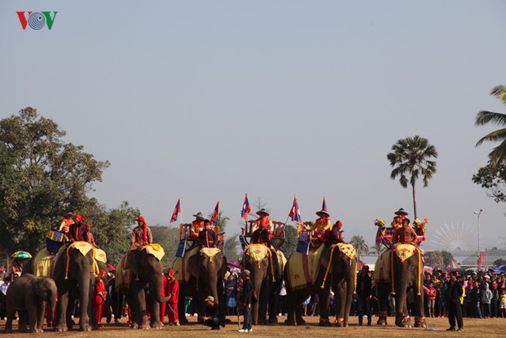 ງານມະຫາກຳບຸນຊ້າງໄຊຍະບູລີ 2017 ທີ່ເປັນເອກະລັກສະເພາະຂອງລາວ - ảnh 6