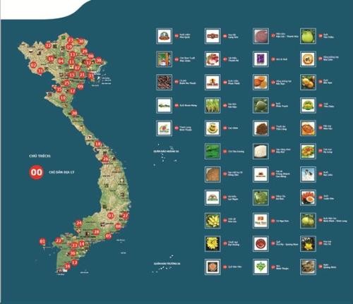 依据越欧自贸协定中的承诺注册地理标志保护 - ảnh 1