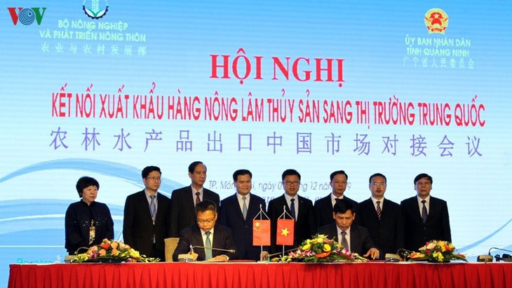 实施对接  向中国出口越南农产品 - ảnh 1