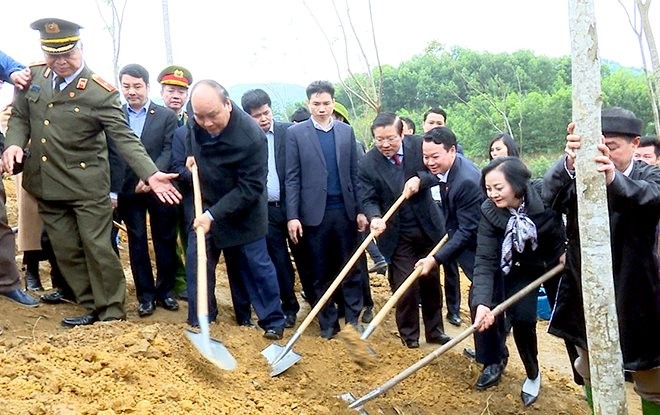 全国各地启动庚子新春植树节 - ảnh 1