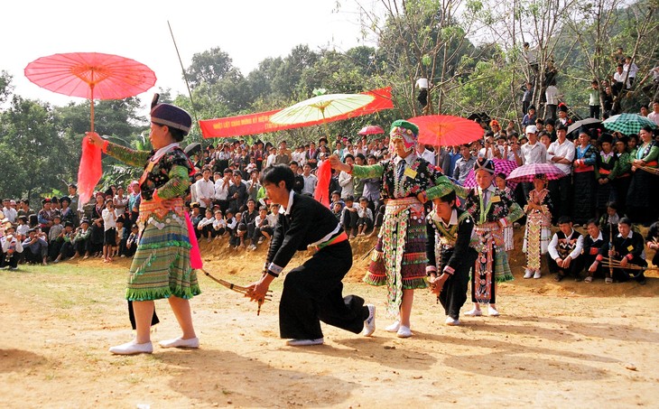 ធានាសិទ្ធិអភិវឌ្ឍន៍វប្បធម៌របស់ជនរួមជាតិជាជនជាតិភាគតិច - ảnh 1