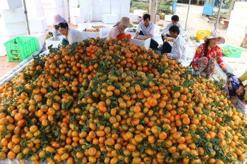 ជម្រុញផលិតកម្មនិងអភិវឌ្ឍន៍ទីផ្សារក្នុងប្រទេស - ảnh 1