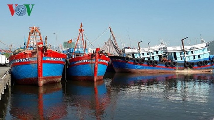 ទីក្រុង Da Nang បង្កើនការត្រួតពិនិត្យប្រភពជលផល និងគ្រឿងសមុទ្រ - ảnh 1