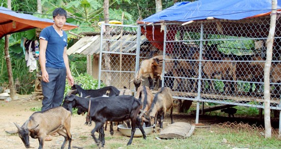 គំរូយុវជនកសាងរូបសណ្ឋានកសិកម្ម ដើម្បីបន្សាំនឹងបម្រែបម្រួលអាកាសធាតុ - ảnh 1