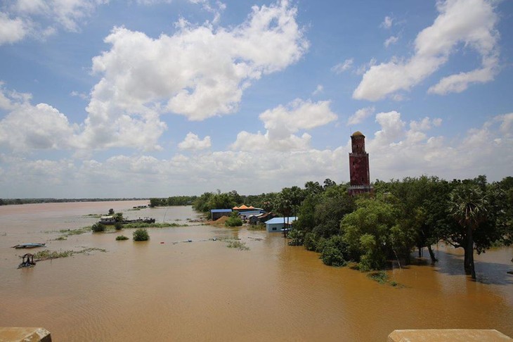 ទឹកទន្លេមេគង្គកើនឡើងយ៉ាងឆាប់រហ័ស៖ គំរាមកំហែងដល់ខេត្ត ក្រុង​ជា​ច្រើន​នៅកម្ពុជា - ảnh 1