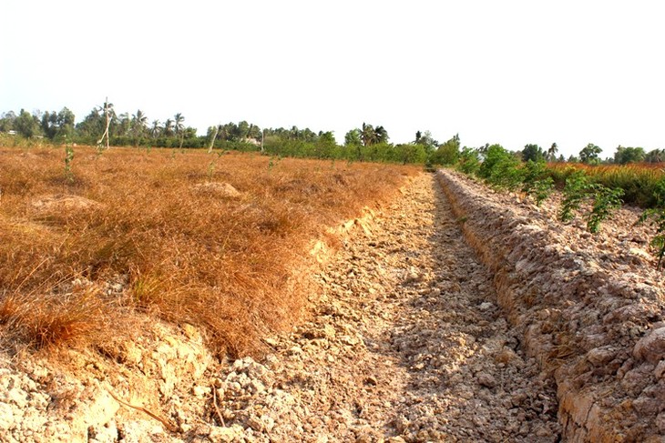 EU ជួយឧបត្ថម្ភដល់ប្រជាជនដែលរងផលប៉ះពាល់ដោយគ្រោះរាំងស្ងួតនិងការជ្រាបជាតិប្រៃនៅវៀតណាម - ảnh 1