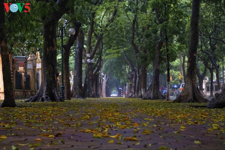 ទេសភាពទីក្រុងហាណូយដ៏ស្រស់ស្អាតនិងស្ងាត់ជ្រងំក្នុង«គ្រារក្សាគម្លាតសង្គម» - ảnh 1