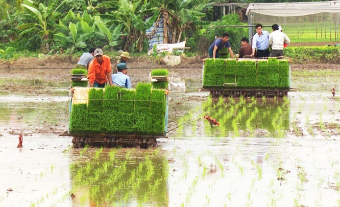 ប្រជាកសិករនៅជាយទីក្រុងហាណូយជំរុញខ្លាំងនូវការធ្វើយន្តូបនីយកម្មផ្នែកកសិកម្ម - ảnh 1