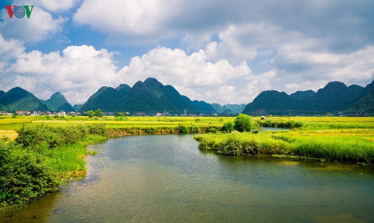  ទេសភាពដ៏ស្រស់បំព្រងរបស់ វាលស្រែ Bac Son  - ảnh 16