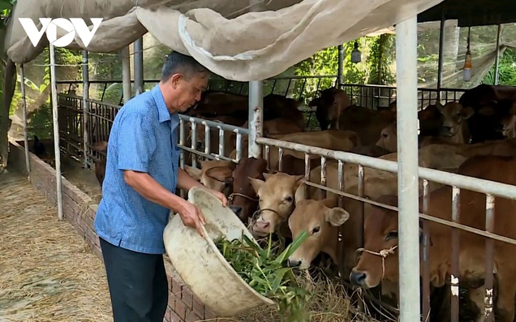 “កសិករវៀតណាមឆ្នើម” លោក Duong Van Tao ប្រឹងប្រែងយ៉ាងអស់ពីចិត្តដើម្បីជនក្រីក្រ - ảnh 1