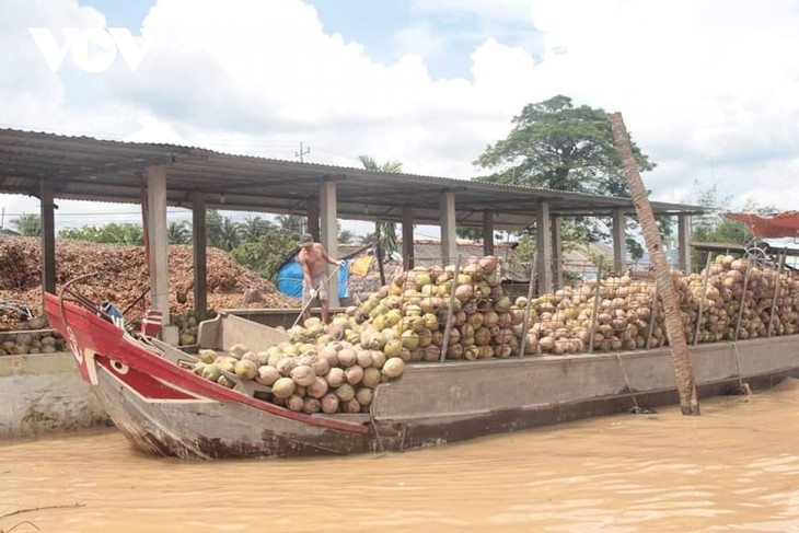 ប្រជាកសិករខេត្ត Ben Tre យកចិត្តទុកដាក់ពិសេសដល់ការកសាងនិងធ្វើឲ្យសុក្រិតនូវខ្សែសង្វាក់តម្លៃកសិផល - ảnh 2