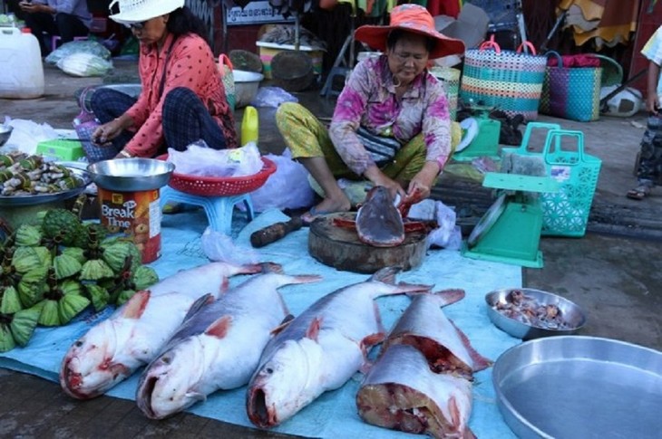 ក្រសួងកសិកម្ម រុក្ខាប្រមាញ់និងនេសាទកម្ពុជាបានលុបចោលបញ្ជាហាមឃាត់ការនាំចូលត្រីពីប្រទេសវៀតណាម - ảnh 1