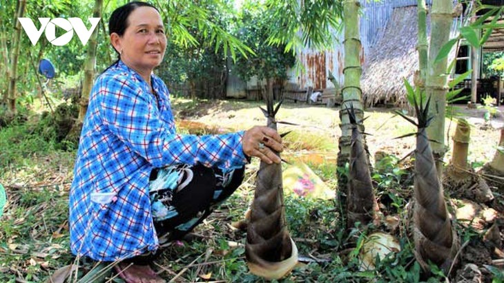 អ្នកដាំទាំពាំងឫស្សីប្រកបដោយជោគជ័យលើតំបន់ដីដែលជ្រាបទឹកប្រៃ - ảnh 2