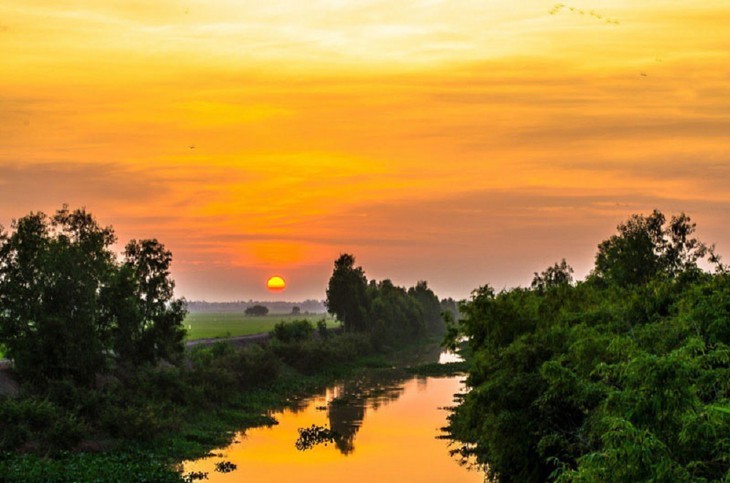 ភាពស្រស់ស្អាតនៃព្រៃស្មាច់ Tra Su នៅខេត្ត An Giang  - ảnh 3