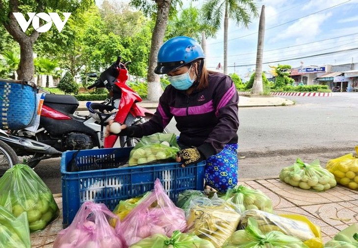 ស្រុក Thap Muoi ខេត្ត Dong Thap ស្វែងរកទិសដៅបញ្ចេញលក់​កសិផល​ជូនប្រជាជន - ảnh 1