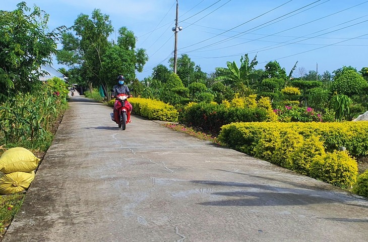 គំរូចិញ្ចឹមងាវប្រកបដោយប្រសិទ្ធភាពនៅឃុំ Dong Thoi ស្រុក Cai Nuoc ខេត្ត Ca Mau - ảnh 2