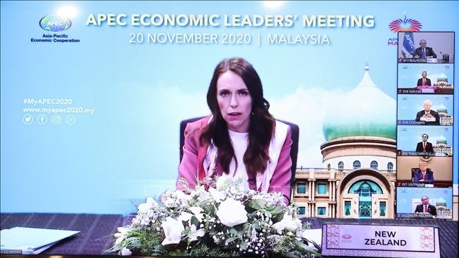 APEC ឆ្ពោះទៅរកស្ដារឡើងវិញប្រកបដោយចីរភាពនិងបរិយាប័ន្ន - ảnh 1