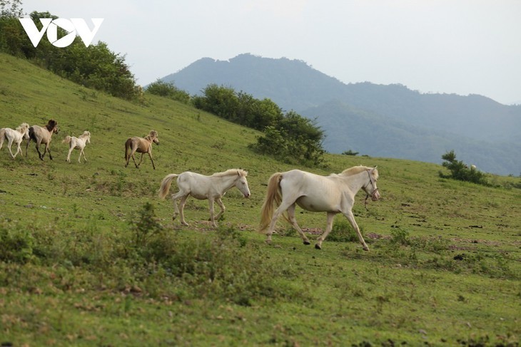 អញ្ជើញទស្សនា 