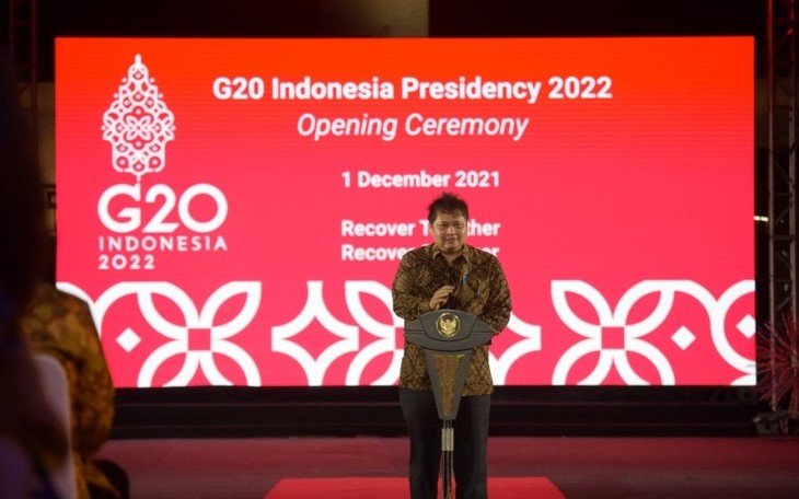 ប្រធាន G20 ឥណ្ឌូណេស៊ី មានគោលបំណងបង្កើតនិម្មាបនកម្មសេដ្ឋកិច្ច និងសុខាភិបាលពិភពលោកក្រោយវិបត្តិ​ - ảnh 1