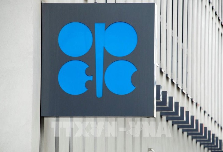 OPEC លើកច្បាស់ពីតួនាទីយ៉ាងសំខាន់របស់រុស្ស៊ី - ảnh 1