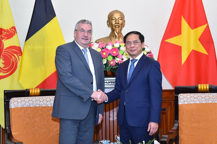 Wallonie-Bruxelles បន្តរួមដំណើរនិងគាំទ្រវៀតណាមសម្រាប់ការអភិវឌ្ឍប្រកបដោយចីរភាព - ảnh 1