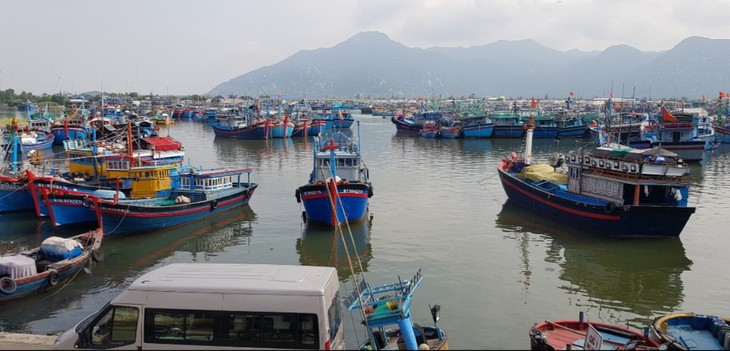 ប្រជានេសាទនៅភូមិ Ca Na ខេត្ត Ninh Thuan ច្បាមជាប់លំហសមុទ្រ - ảnh 2