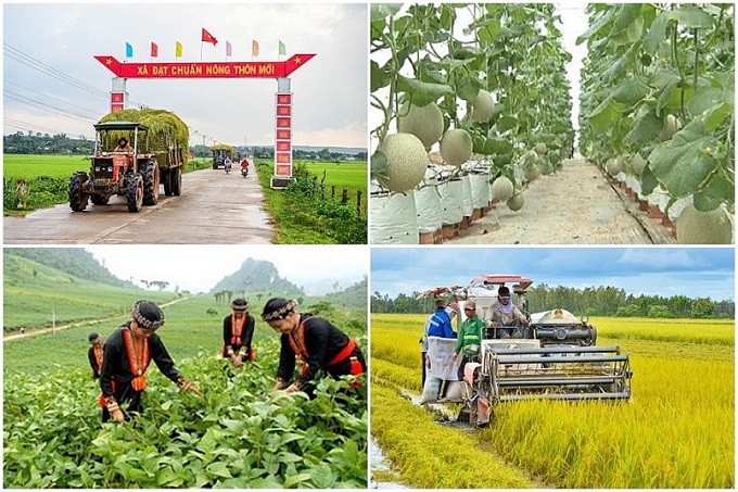 ឆ្នាំ ២០២៣៖ វៀតណាមកំណត់គោលដៅកាត់បន្ថយភាពក្រីក្រពី ១ ទៅ ១,៥% - ảnh 1