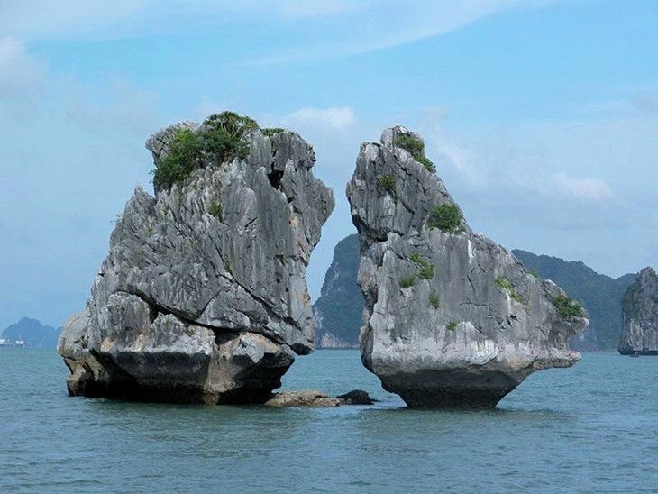 ឈូងសមុទ្រ Ha Long ស្ថិតក្នុងចំណោមគោលដៅស្រស់ស្អាតបំផុតទាំង ២៥ នៅលើពិភពលោក - ảnh 10