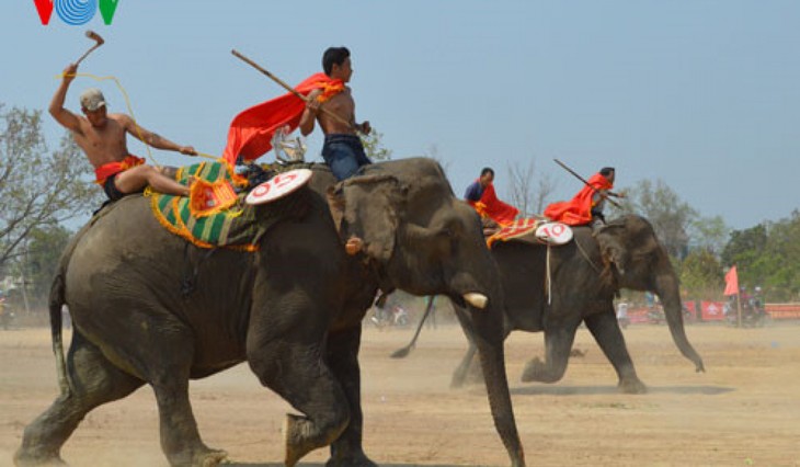 ការឆ្លើយសំណួររបស់មិត្តអ្នកស្ដាប់ក្នុងសប្ដាហ៍កន្លងទៅ - ảnh 2