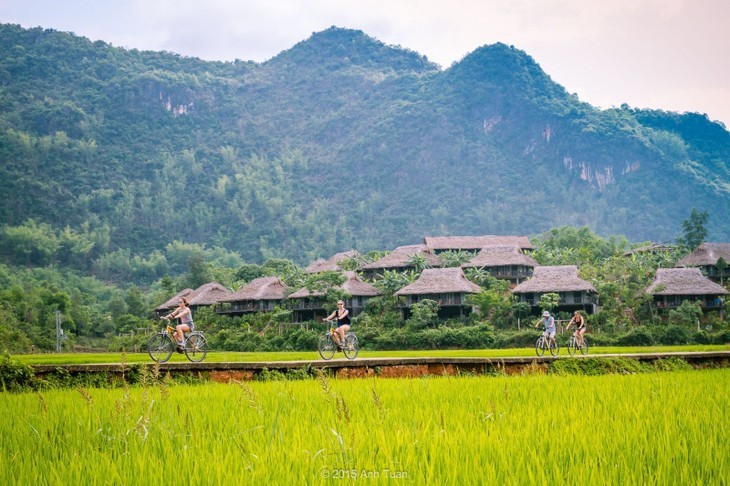 គោលដៅគយគន់ស្រូវទុំក្នុងរដូវស្លឹកឈើជ្រុះ - ảnh 6