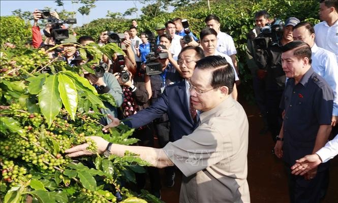 ប្រធានរដ្ឋសភាវៀតណាម​បានទៅទស្សនាតំបន់ដាំដំណាំ​កាហ្វេ​ និងចូលរួមពិធីបើកសម្ពោធរោងចក្រកែច្នៃកាហ្វេ Son La - ảnh 1