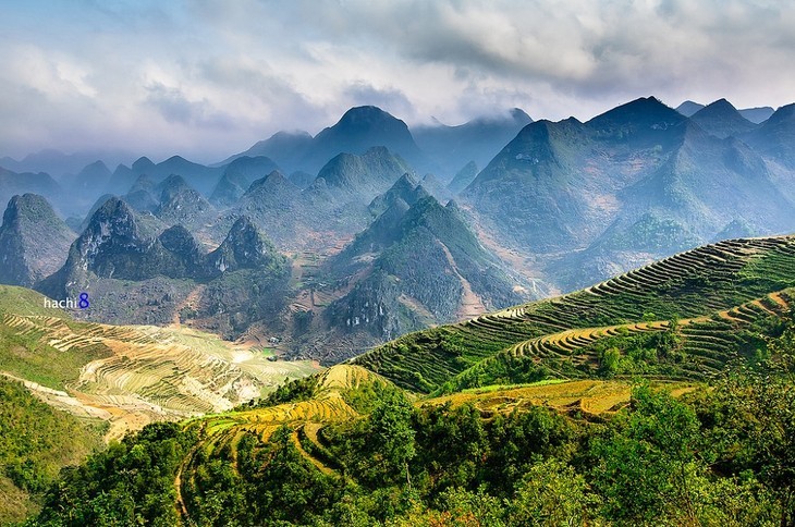 សម្រស់ខ្ពង់រាបថ្ម Dong Van ខេត្ត Ha Giang - ảnh 2