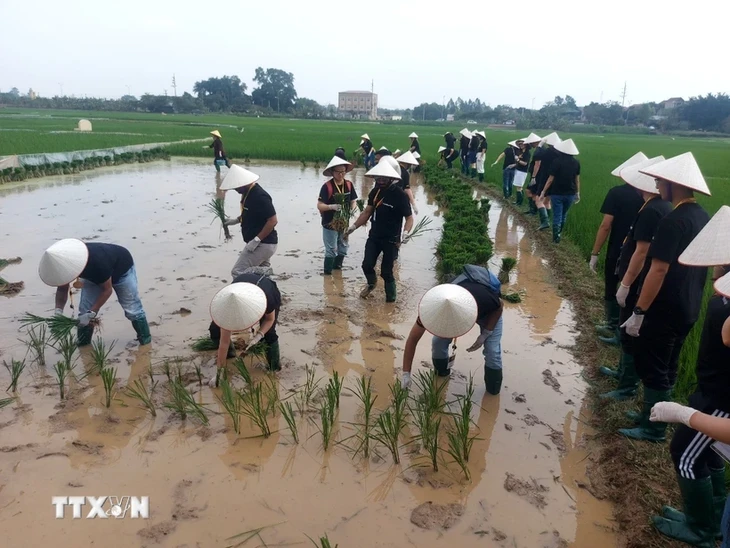 ការឆ្លើយសំណួររបស់មិត្តអ្នកស្ដាប់ក្នុងសប្ដាហ៍កន្លងទៅ - ảnh 1