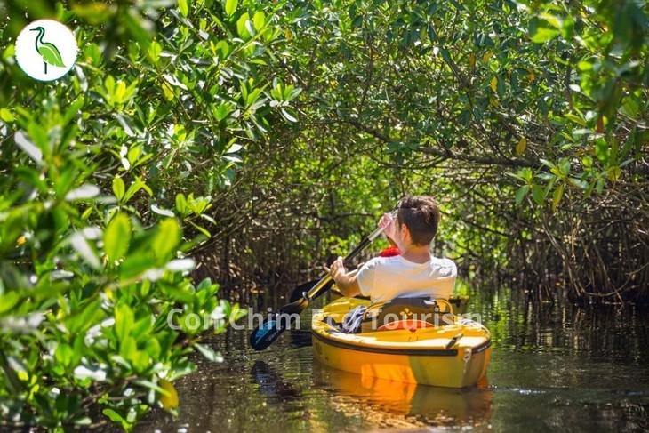 តំបន់អេកូឡូស៊ី Con Chim - “កោះបៃតង” នៅ Binh Dinh - ảnh 10