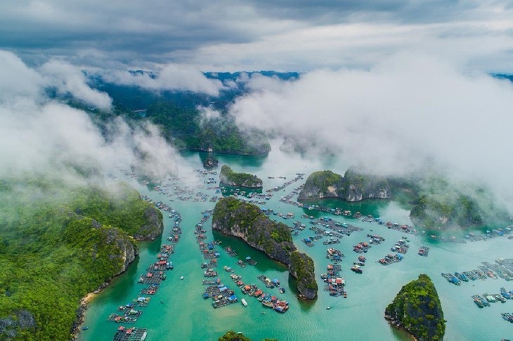 ឈូងសមុទ្រ Ha Long - ប្រជុំកោះ Cat Ba៖ តំបន់បេតិកភណ្ឌធម្មជាតិពិភពលោក អន្តរខេត្ត ទីក្រុងដំបូងនៅវៀតណាម - ảnh 2