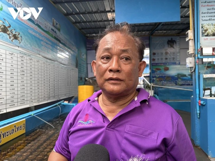 កោះស៊ីឆាង៖ ​​អភិរក្សក្តាមខៀវ និង​លើកកំពស់ជីវភាពរស់នៅ​របស់​អ្នក​ស្រុក - ảnh 3