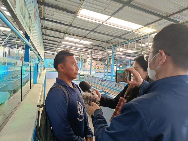 កោះស៊ីឆាង៖ ​​អភិរក្សក្តាមខៀវ និង​លើកកំពស់ជីវភាពរស់នៅ​របស់​អ្នក​ស្រុក - ảnh 4