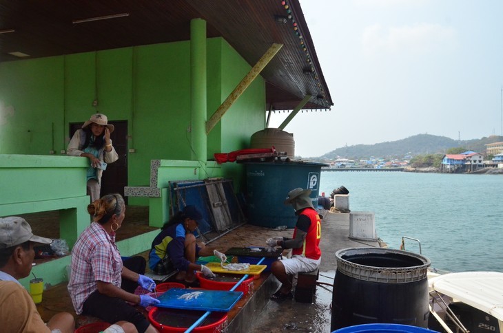 អ្នកនេសាទកោះស៊ីឆាង៖ ច្នៃប្រឌិត​ដើម្បីរក្សា​មុខ​របរប្រពៃណី - ảnh 4