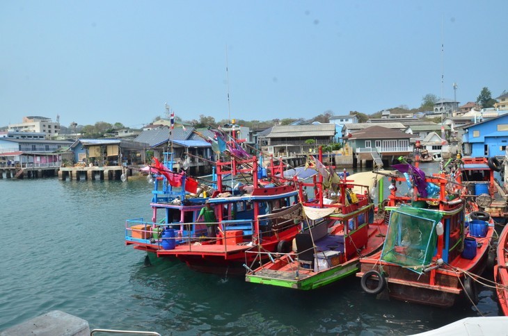 អ្នកនេសាទកោះស៊ីឆាង៖ ច្នៃប្រឌិត​ដើម្បីរក្សា​មុខ​របរប្រពៃណី - ảnh 1