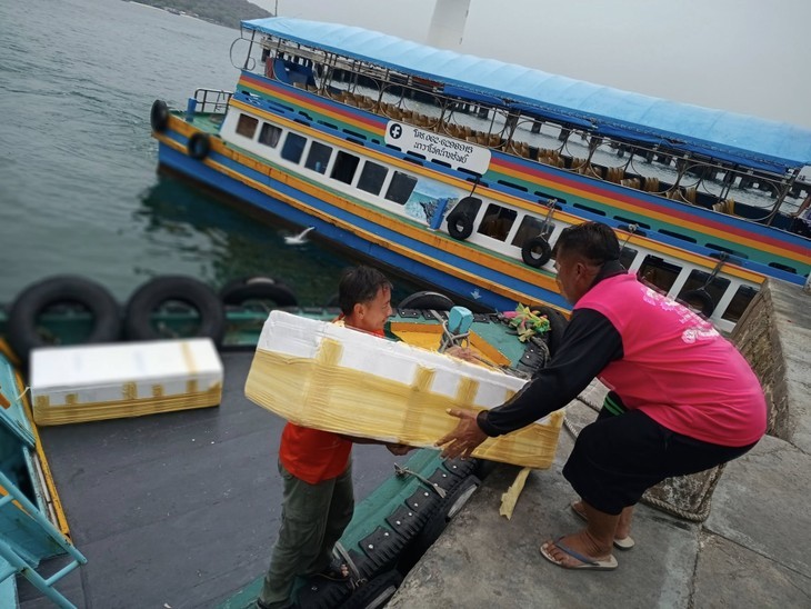 អ្នក​នេសាទ​នៅ​កោះ​ស៊ីឆាង និង​ដំណើរ​ការសាងសង់ “​ផ្ទះ​សម្រាប់​ត្រី” - ảnh 2