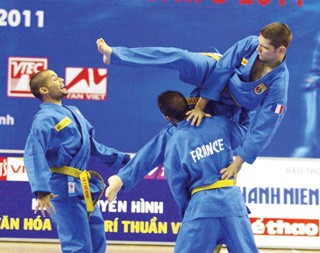 Giải Vovinam thế giới lần III tổ chức tại Pháp - ảnh 1