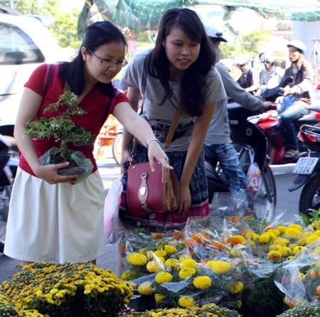 Nhộn nhịp chợ hoa Tết Quý Tỵ 2013 - ảnh 1