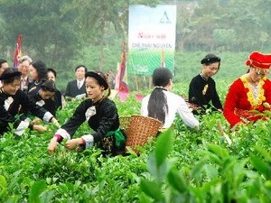 Festival Trà quốc tế lần thứ hai  - ảnh 1