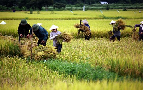 Đoàn giám sát Quốc hội về giảm nghèo làm việc với Thành phố Hà Nội  - ảnh 1