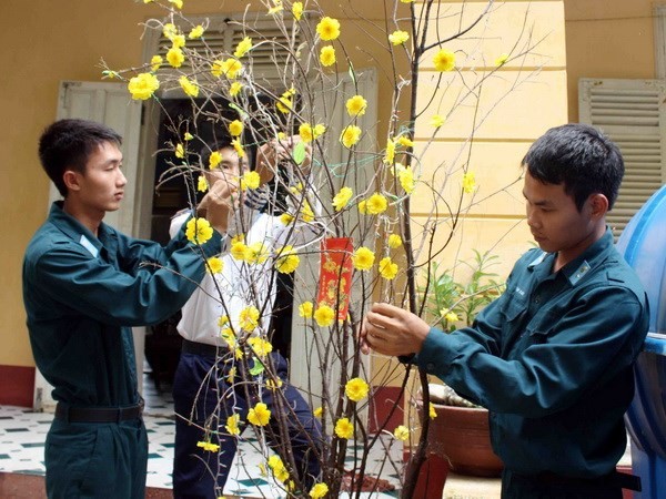 Khánh Hòa: Lập cầu truyền hình trực tiếp chúc Tết quân và dân huyện đảo Trường Sa - ảnh 1