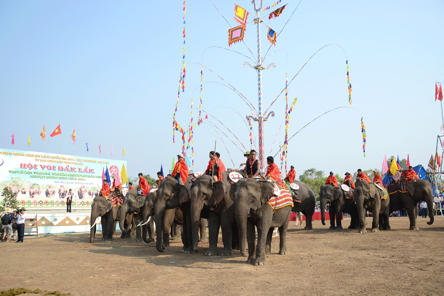 Khai mạc Hội Voi Buôn Đôn - ảnh 1