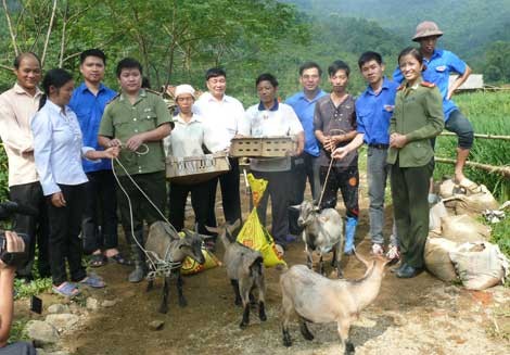 Tuyên dương thanh niên có thành tích xuất sắc trong học tập và làm theo tấm gương đạo đức HCM - ảnh 1