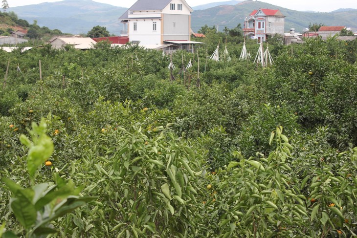 Chính quyền địa phương giữ vai trò kiến tạo, kết nối doanh nghiệp, nhà khoa học hỗ trợ người dân - ảnh 2