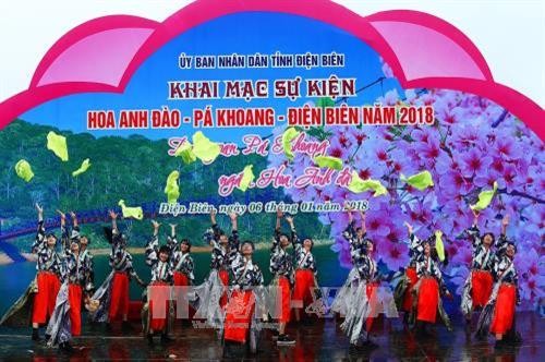 Sự kiện Hoa Anh đào – Pá Khoang – Điện Biên năm 2018: Tôn vinh vẻ đẹp và ý nghĩa của hoa anh đào - ảnh 1